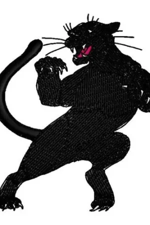 Wildcat Embroidery Design Deal