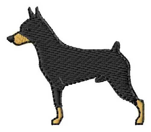 Wholesale Doberman Embroidery Design